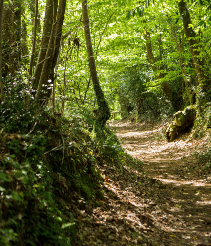 Keranguic, Clohars-Fouesnant