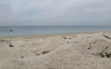 IMG-2562