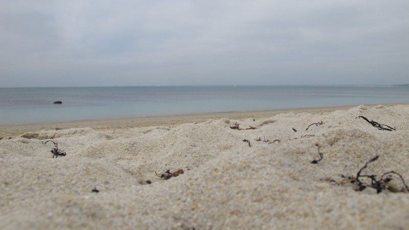 IMG-2562