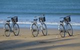 Location velo