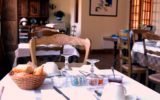WEB–4-