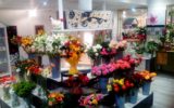 les-fleurs-et-vous-la-foret-fouesnant