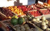 tudal-fruits-la-foret-fouesnant-legumes-primeur–1-