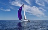 voilier-pogo-40-yachtig-formations-sous-spi